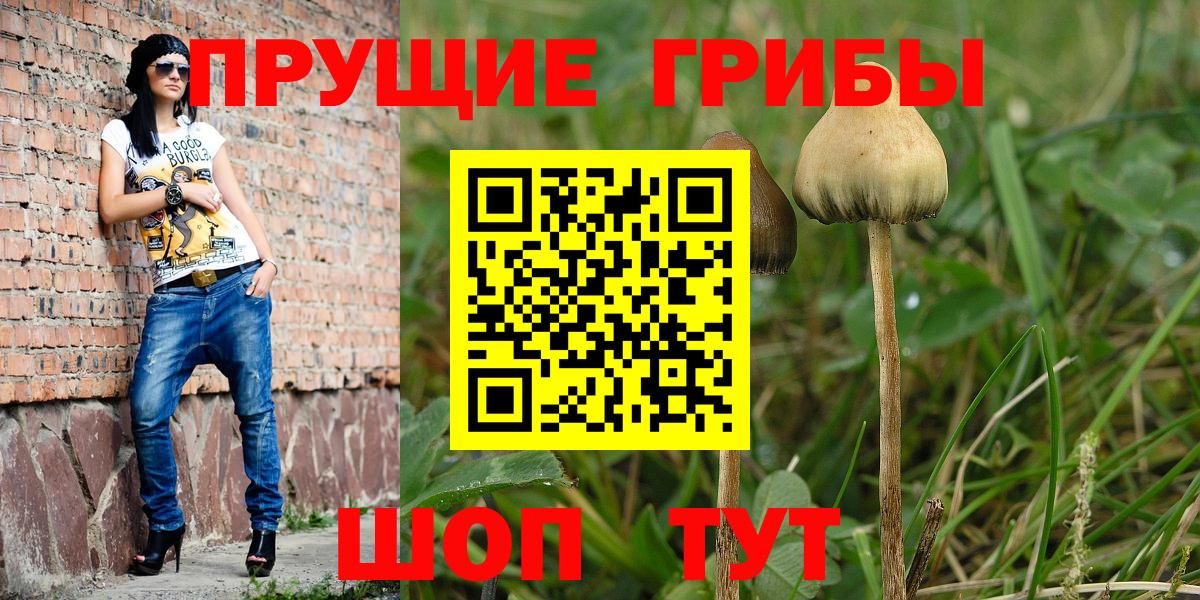 Галлюциногенные грибы ЛСД  Вход с VPN  Псилоцибиновые грибы Psilocybe  Североуральск 