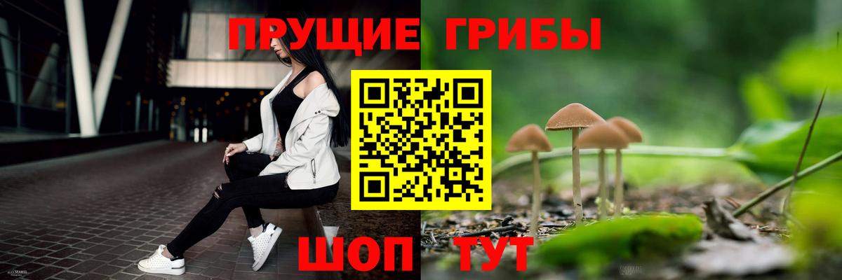 Галлюциногенные грибы Cubensis Североуральск